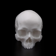 Yorick Skull2